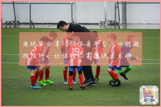 老玩家分享6686体育平台入口的游戏技巧，让你轻松掌握玩法乐趣