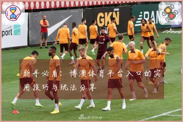 新手必看：博澳体育平台入口的实用技巧与玩法分享