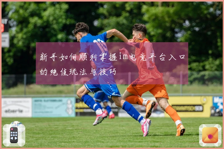 新手如何顺利掌握im电竞平台入口的绝佳玩法与技巧