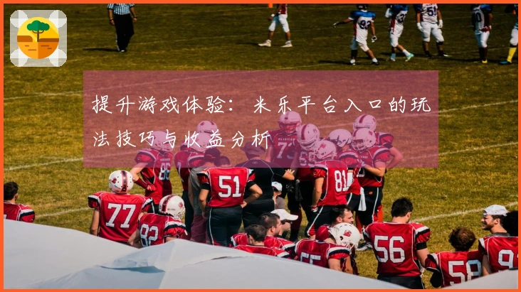 提升游戏体验：米乐平台入口的玩法技巧与收益分析