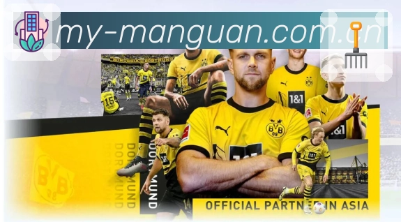 买球核心板块展示